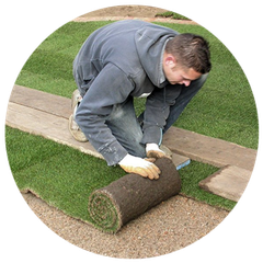 Man laying turf