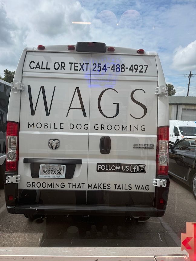 Rear of a white van with