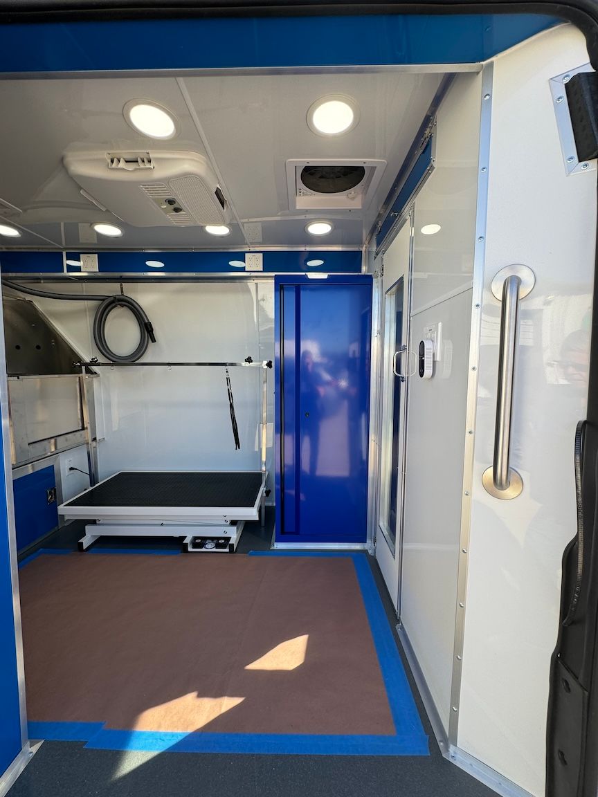 Interior of a mobile pet grooming van. Blue and white walls, grooming table, and blue trim on the floor.