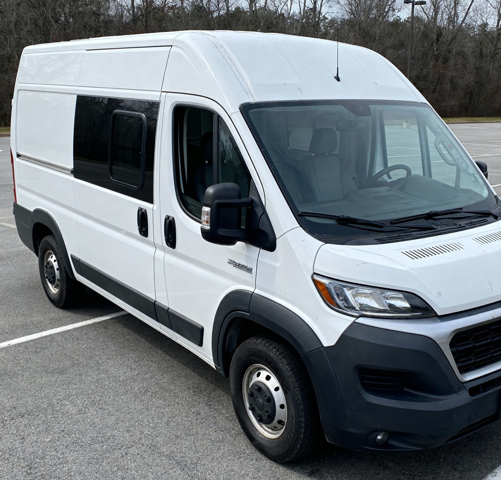 A woman stands in a dog grooming van. Two dogs look on, one is golden.