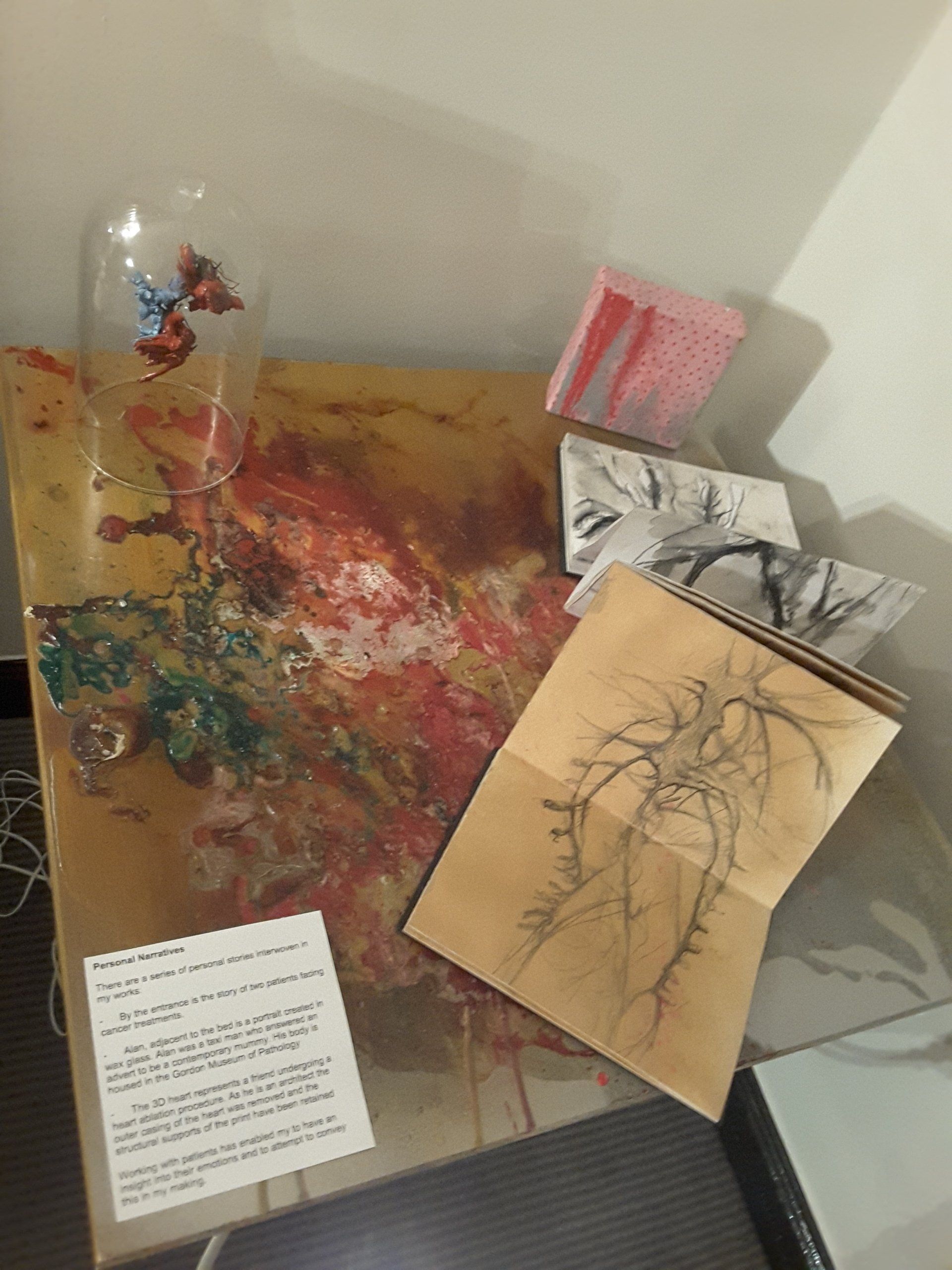 Table with selection of hand drawn studies of veins and arteries.