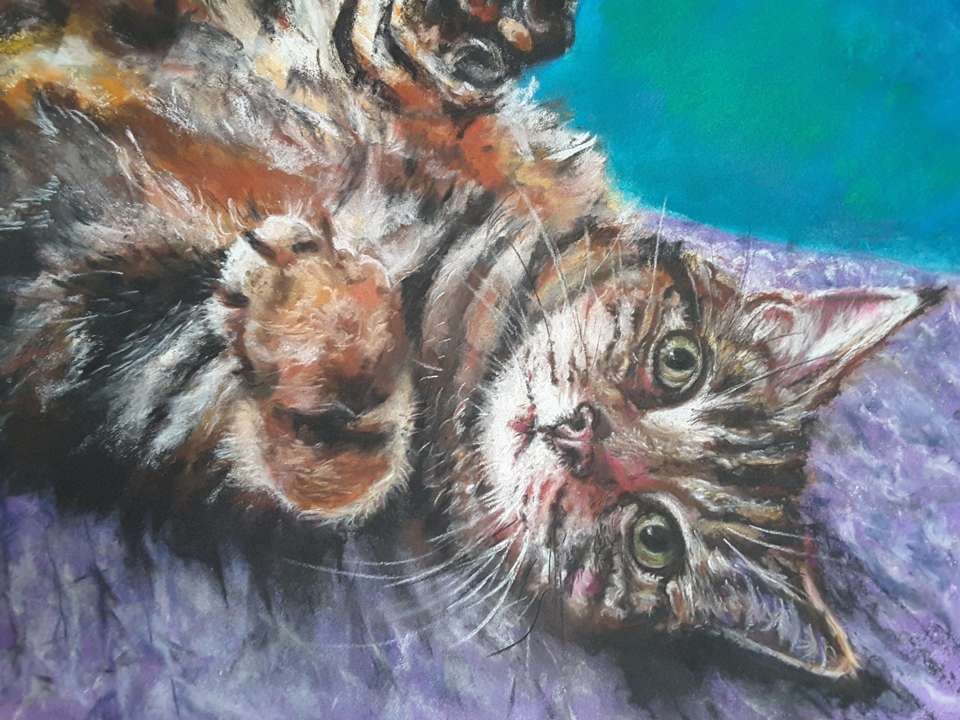 pastel drawing of cute cat on gesso board