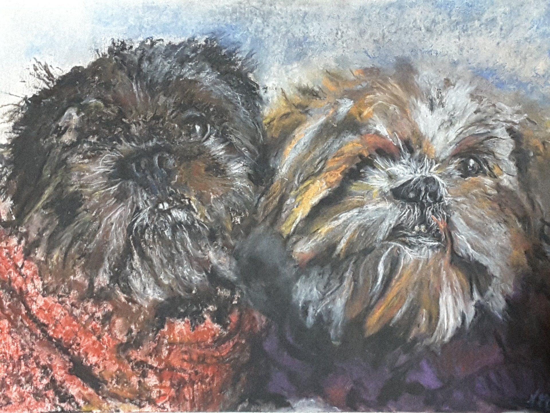 Mis Tiggy photo and associated artwork