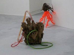 Cacti root with plastic tubing