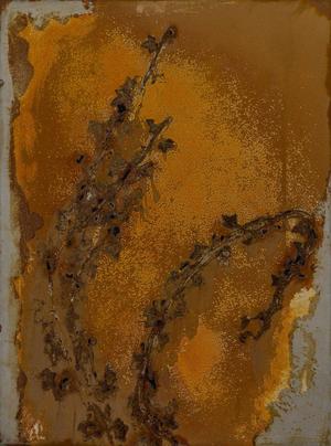 rusted steel plates with acid resist and organic ivy sections