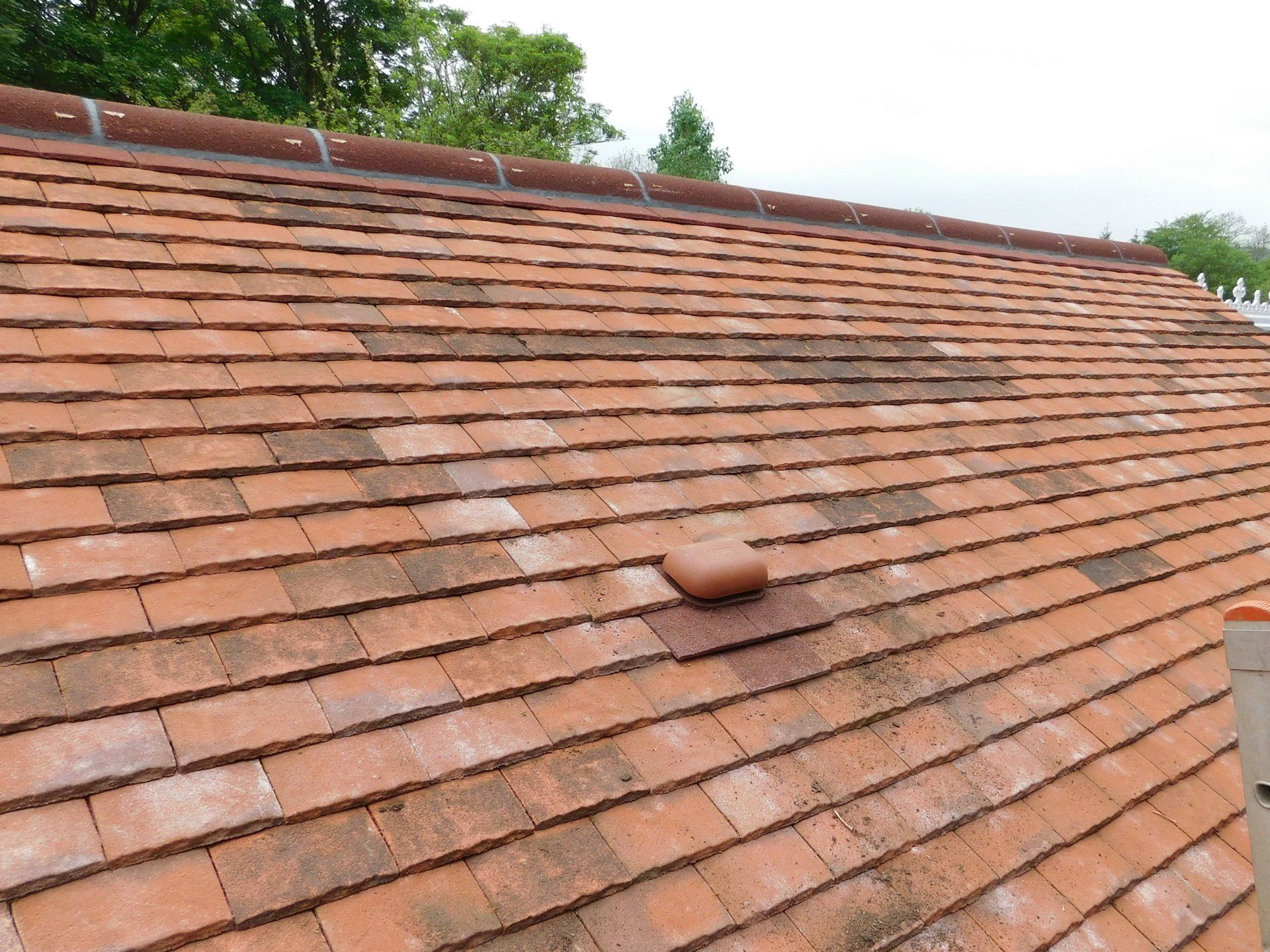 Plain Tile Extension, wet laid ridge, red plain tile roof, reroof clay tile, half round ridge, red ridge, reclaimed red plain tiles, MAR roofing services