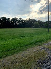 A large grassy field with trees in the background and a cloudy sky.