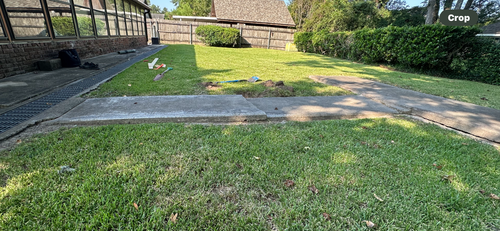 A lush green lawn with a concrete walkway leading to a house.