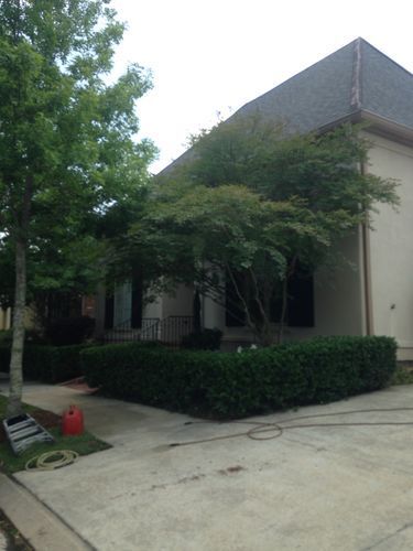 A house with a lot of trees and bushes in front of it.