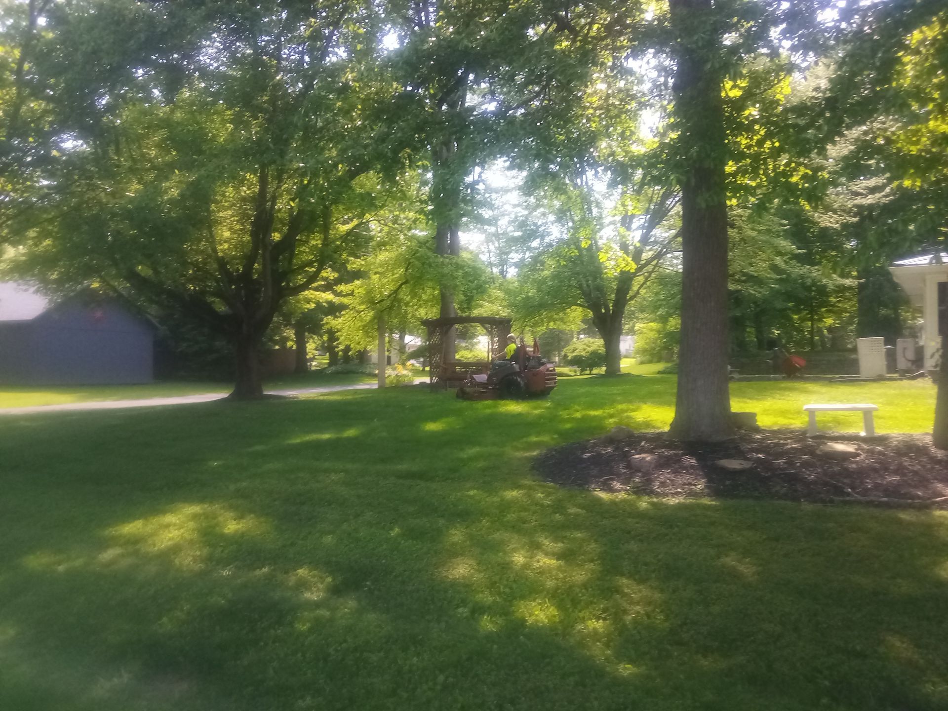 A golf cart is parked in a lush green yard surrounded by trees.