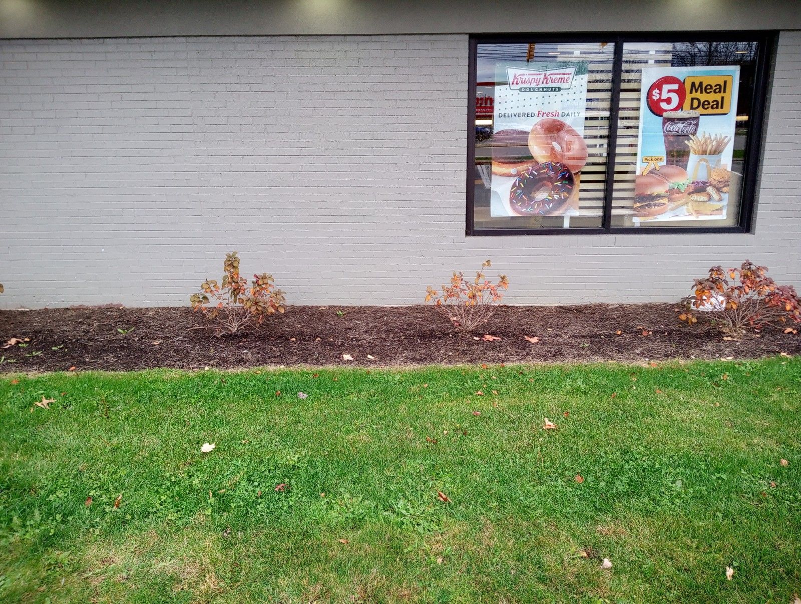 A brick building with a window and a lawn in front of it.