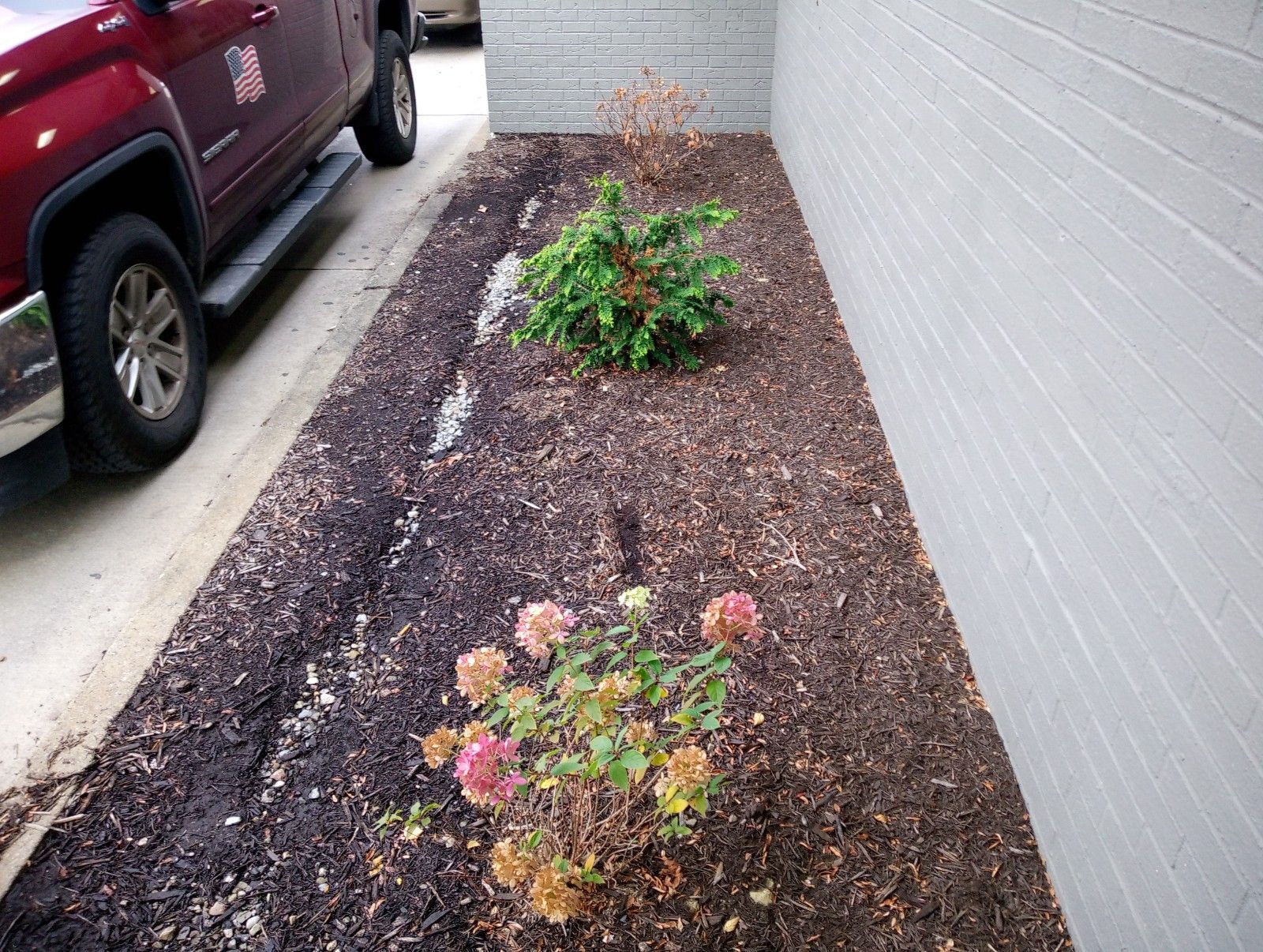 A red truck is parked next to a flower bed