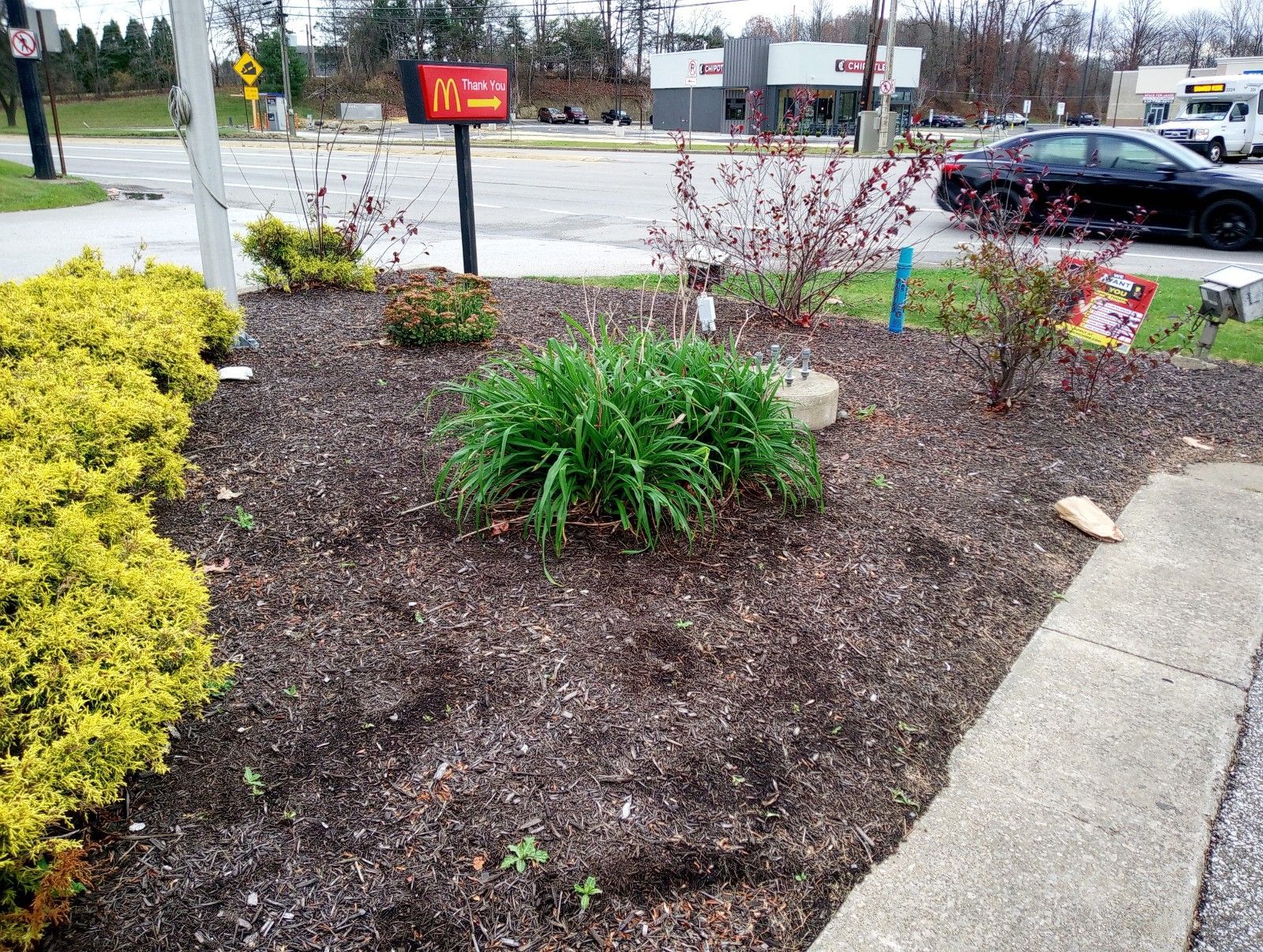 A mcdonald 's sign is in the middle of a garden.