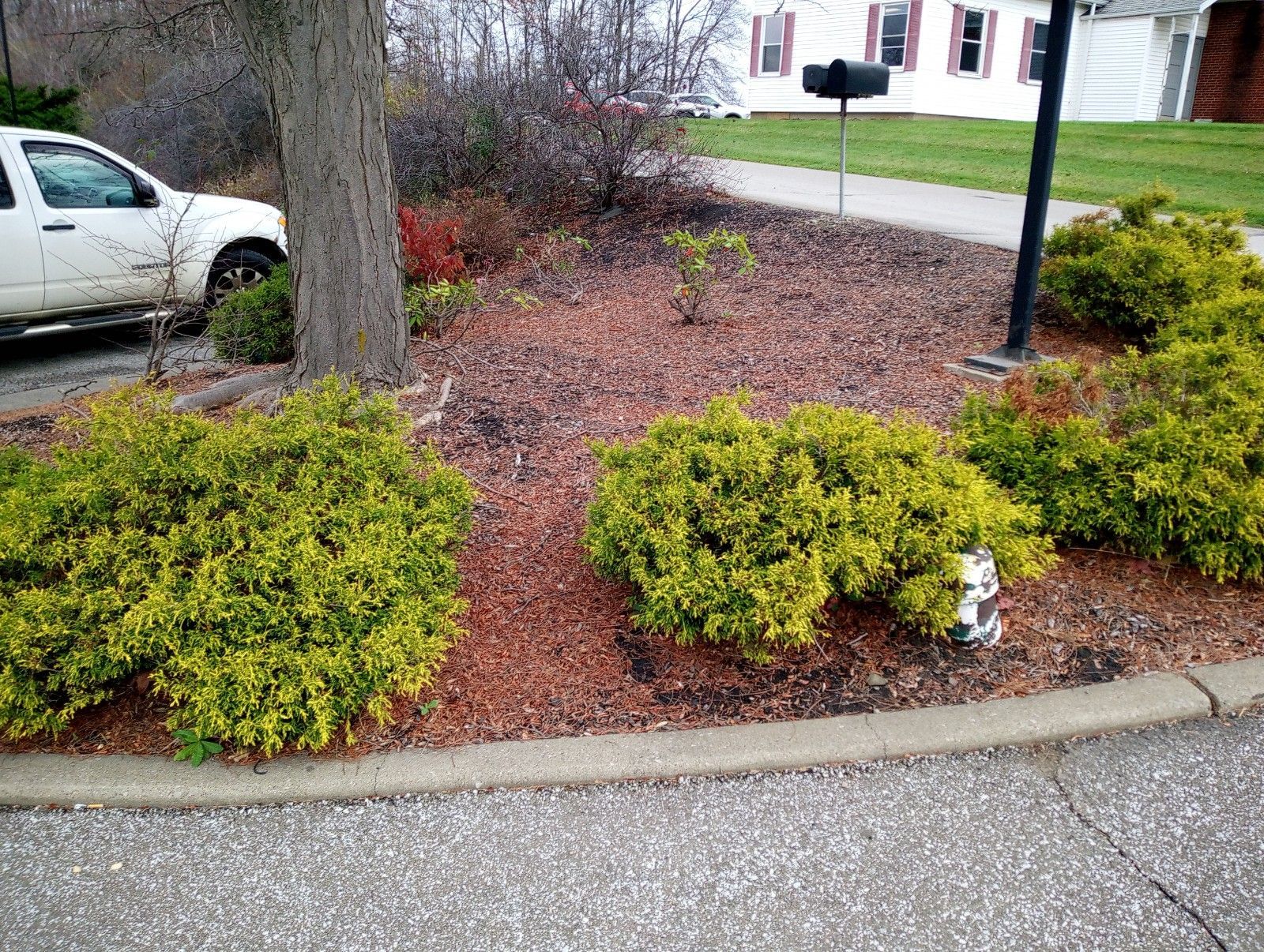 A white truck is parked in a driveway next to a bush.
