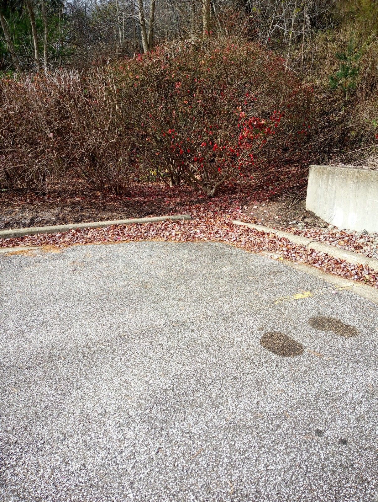 A gravel driveway with a concrete curb and a bush in the background.