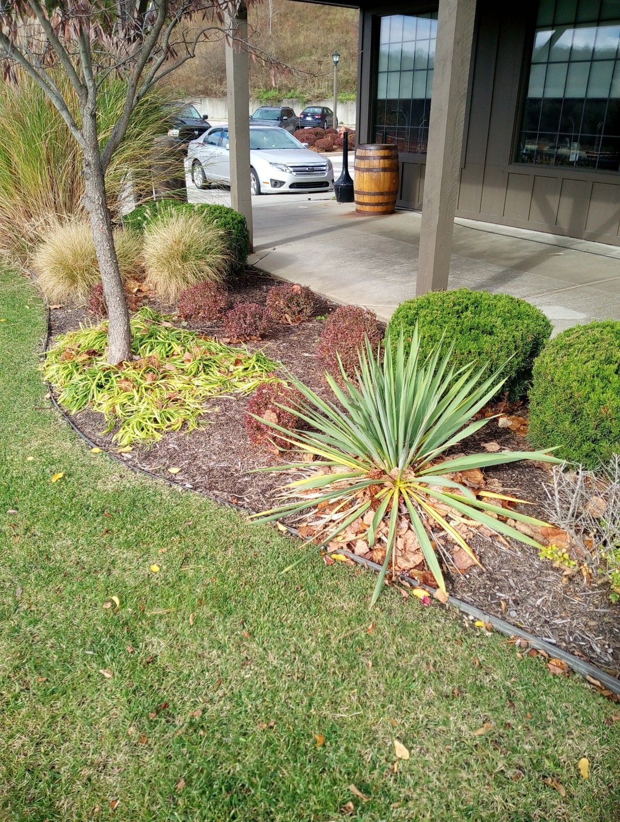 A lawn with a lot of plants and bushes in front of a building.
