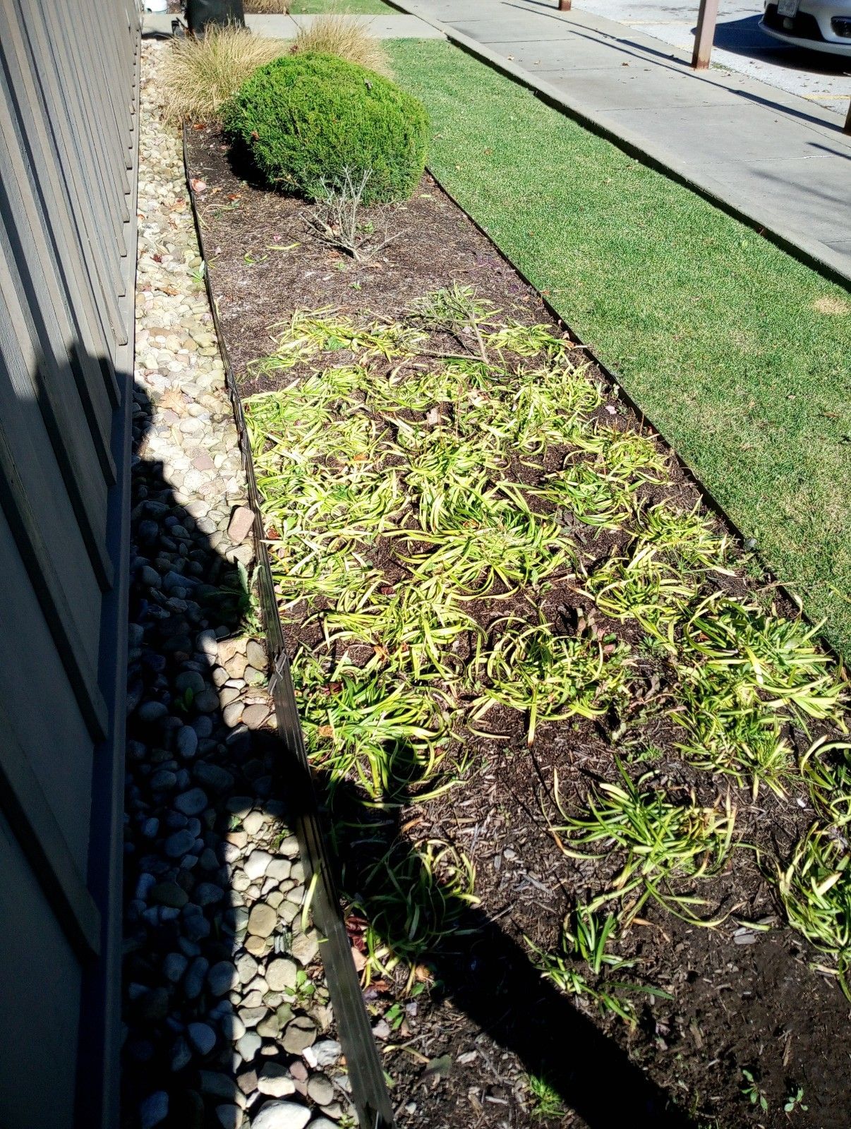 A shadow of a person is cast on a sidewalk next to a house.