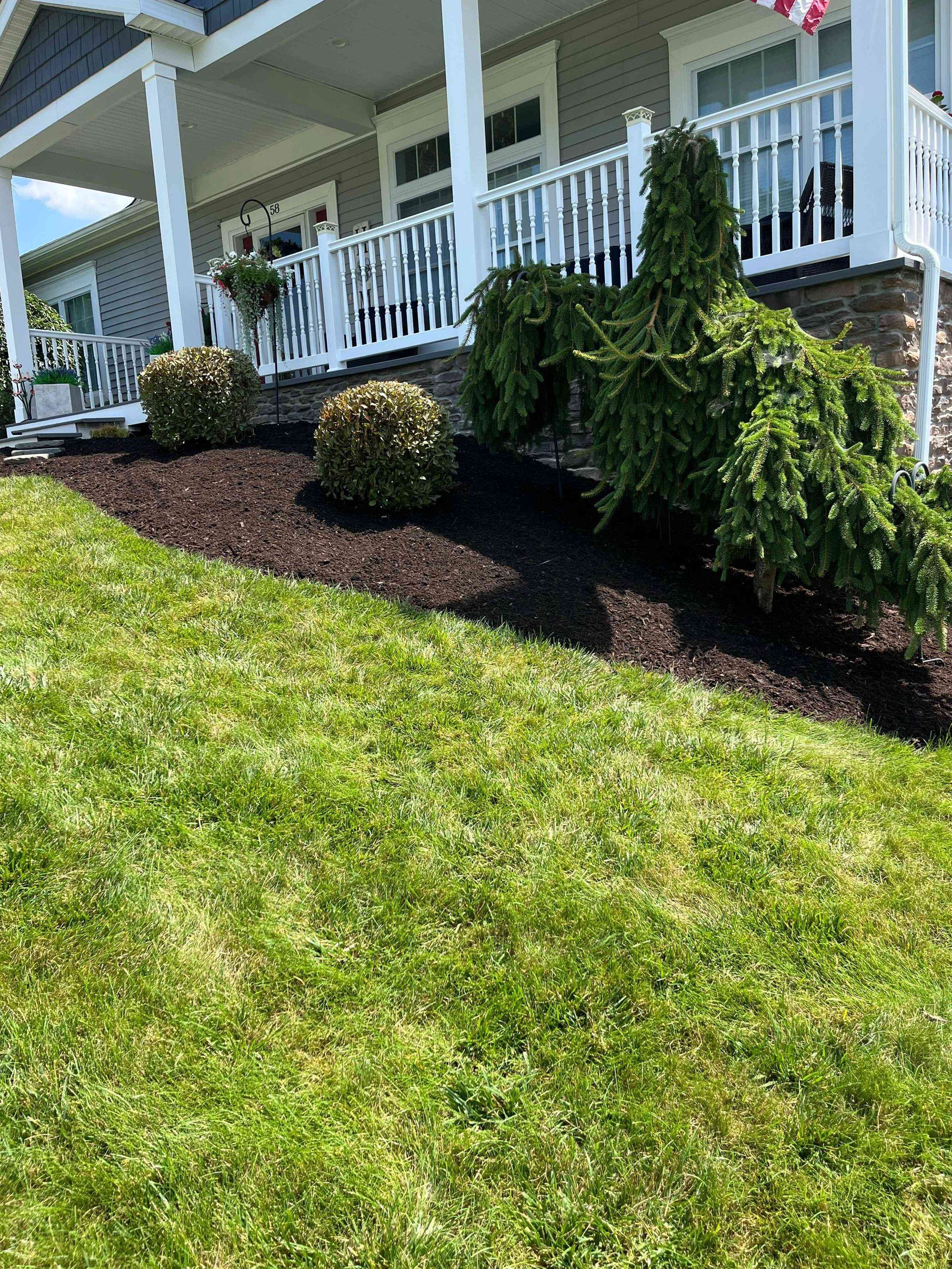 Brown mulch bed with green shrubs in front of a building with a stone facade. White doors and a railing are visible.