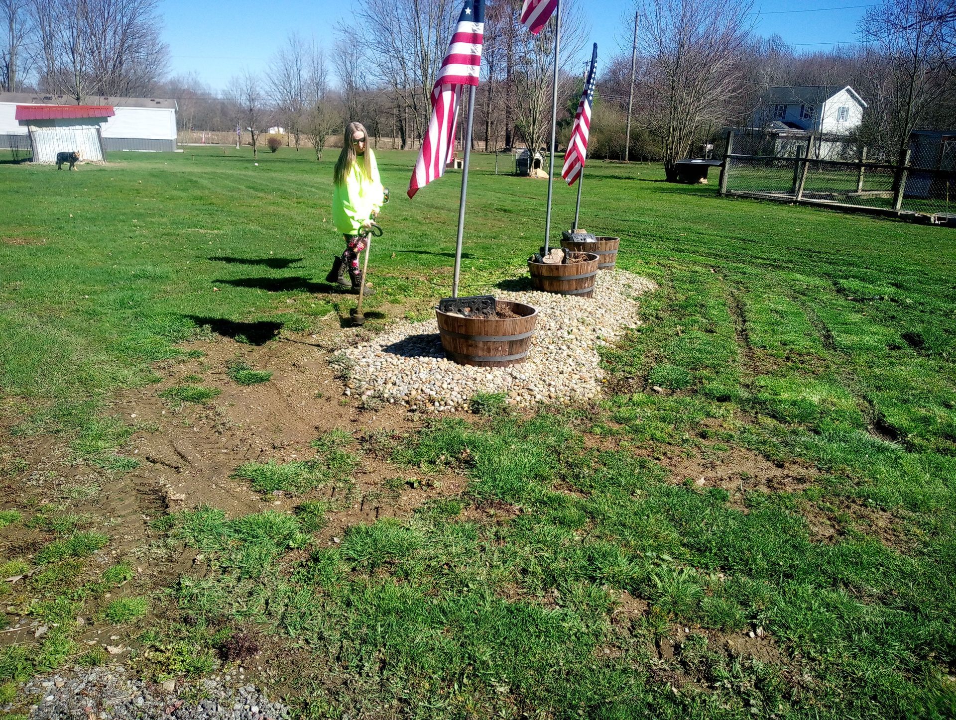 A woman is weed eating in a grassy field next to a row of American flags.