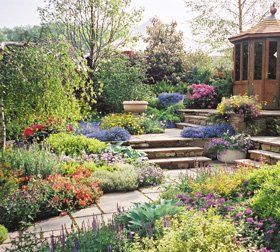 Garden with various shrubs and flowers
