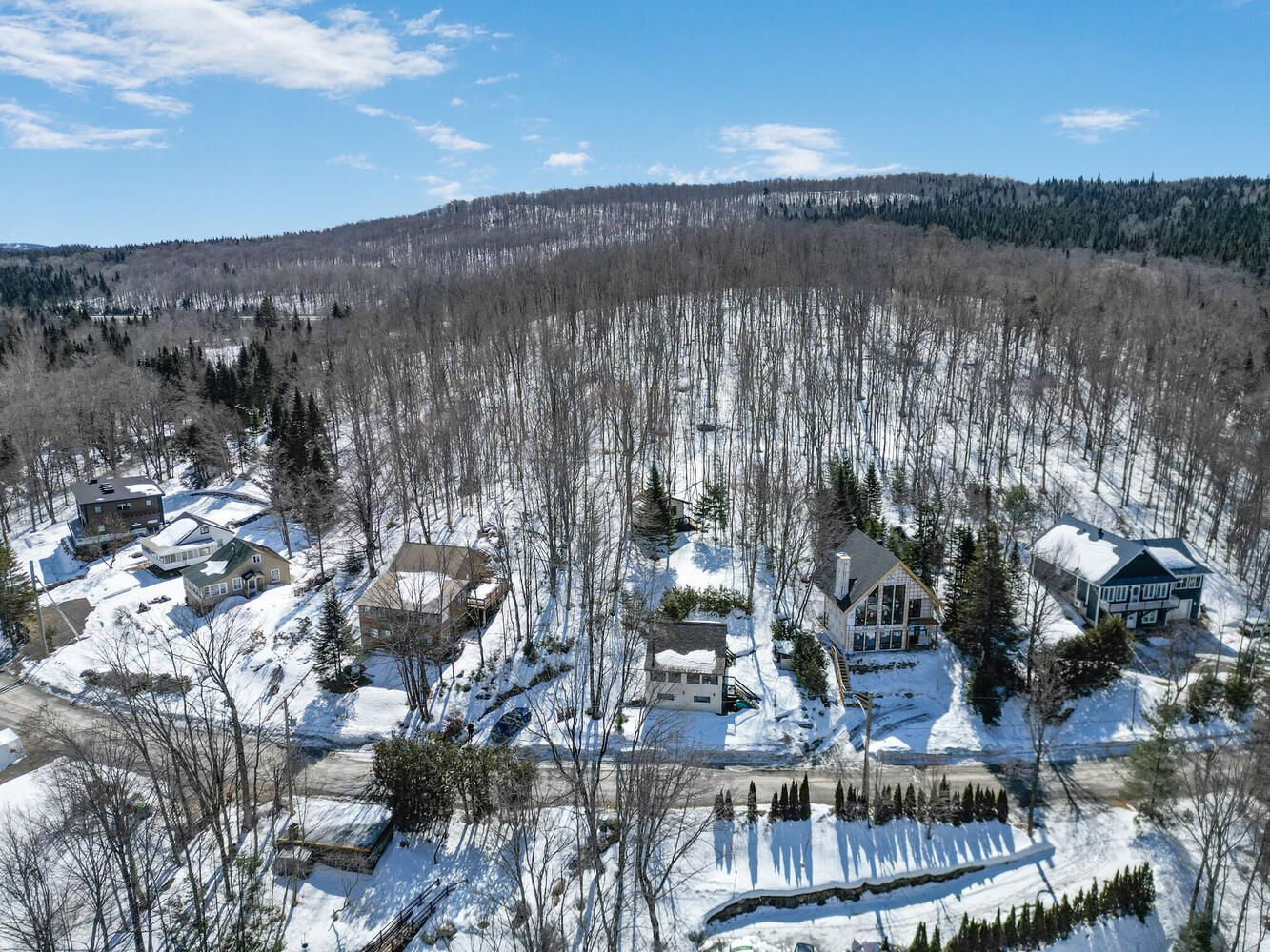 Une vue aérienne d'une forêt enneigée avec des maisons au premier plan et des montagnes en arrière-plan.