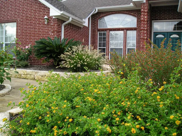Brick house with front yard landscaping featuring yellow flowers and various green bushes.
