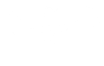 A white background with a few lines on it