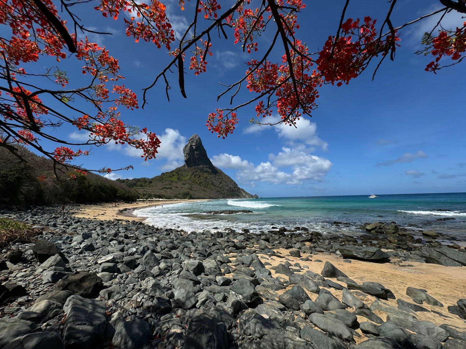 Uma praia rochosa com uma montanha ao fundo