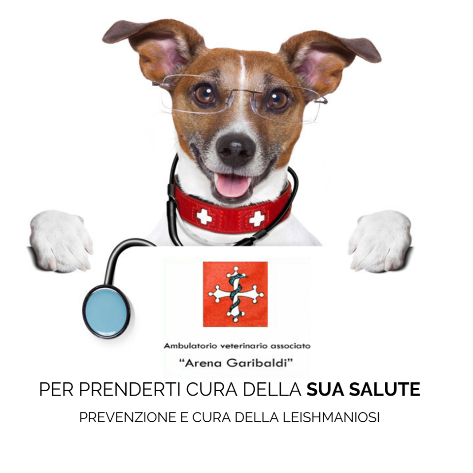 terapie per animali domestici