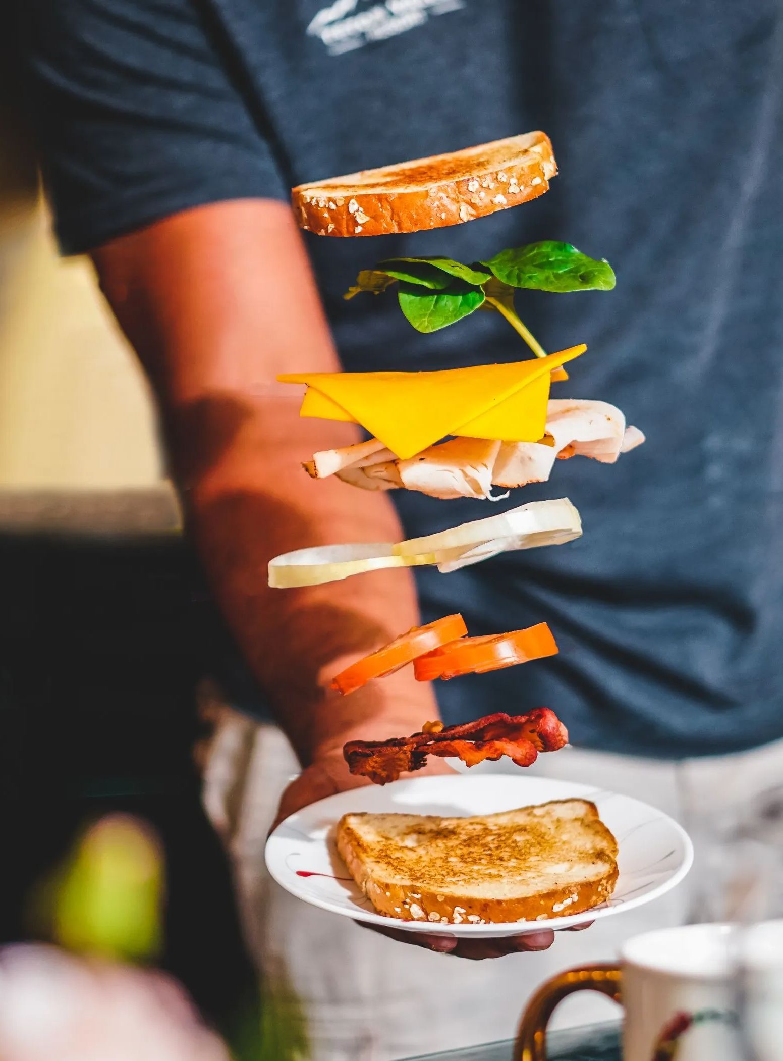 A person is holding a plate with a sandwich on it