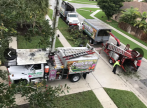 Residential Tree Removal Services — Lantana, FL — Countywide Tree Service