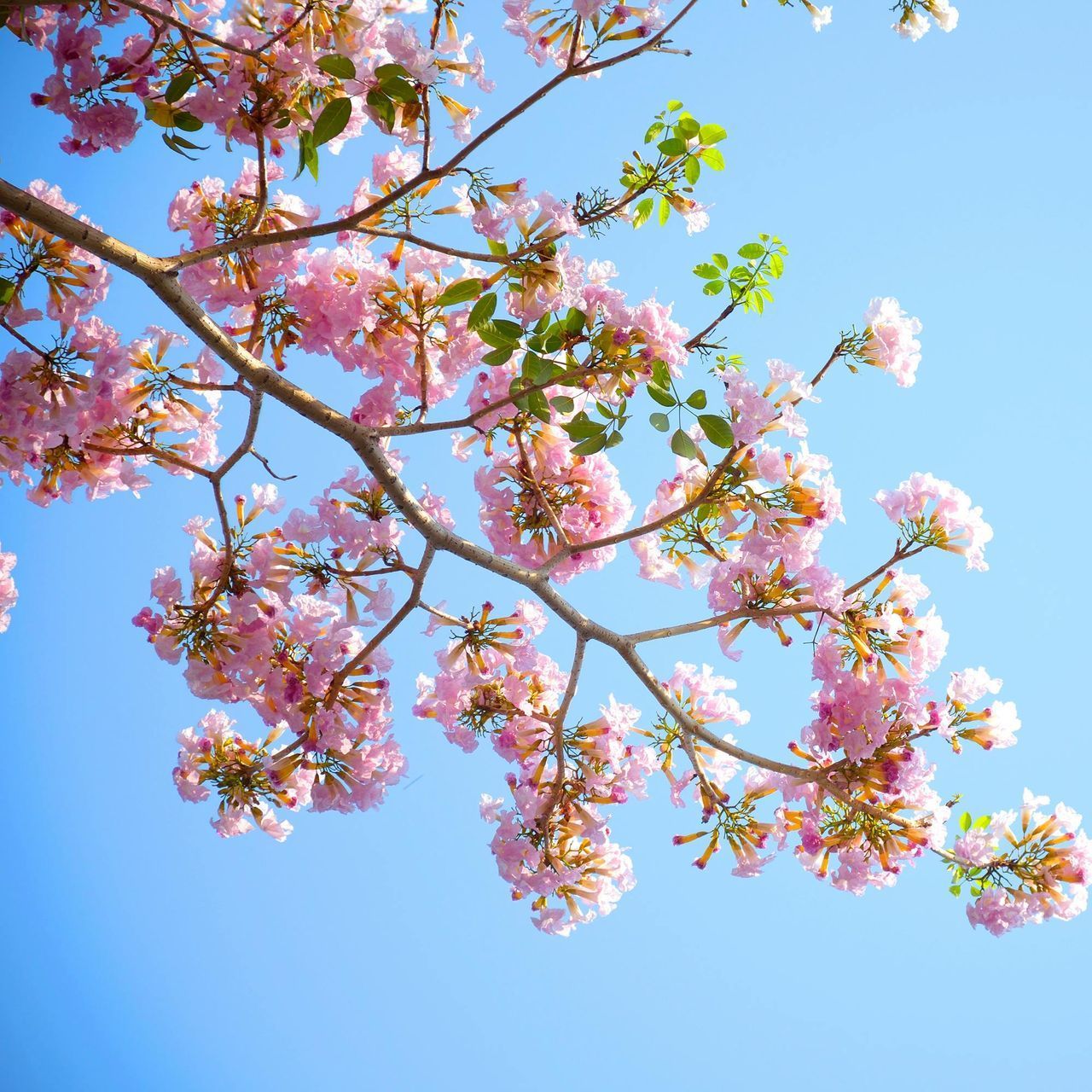 Astrid Kaiser - Inner Work und Mindful Business Coaching Berlin - A Year of Growth Coaching Paket