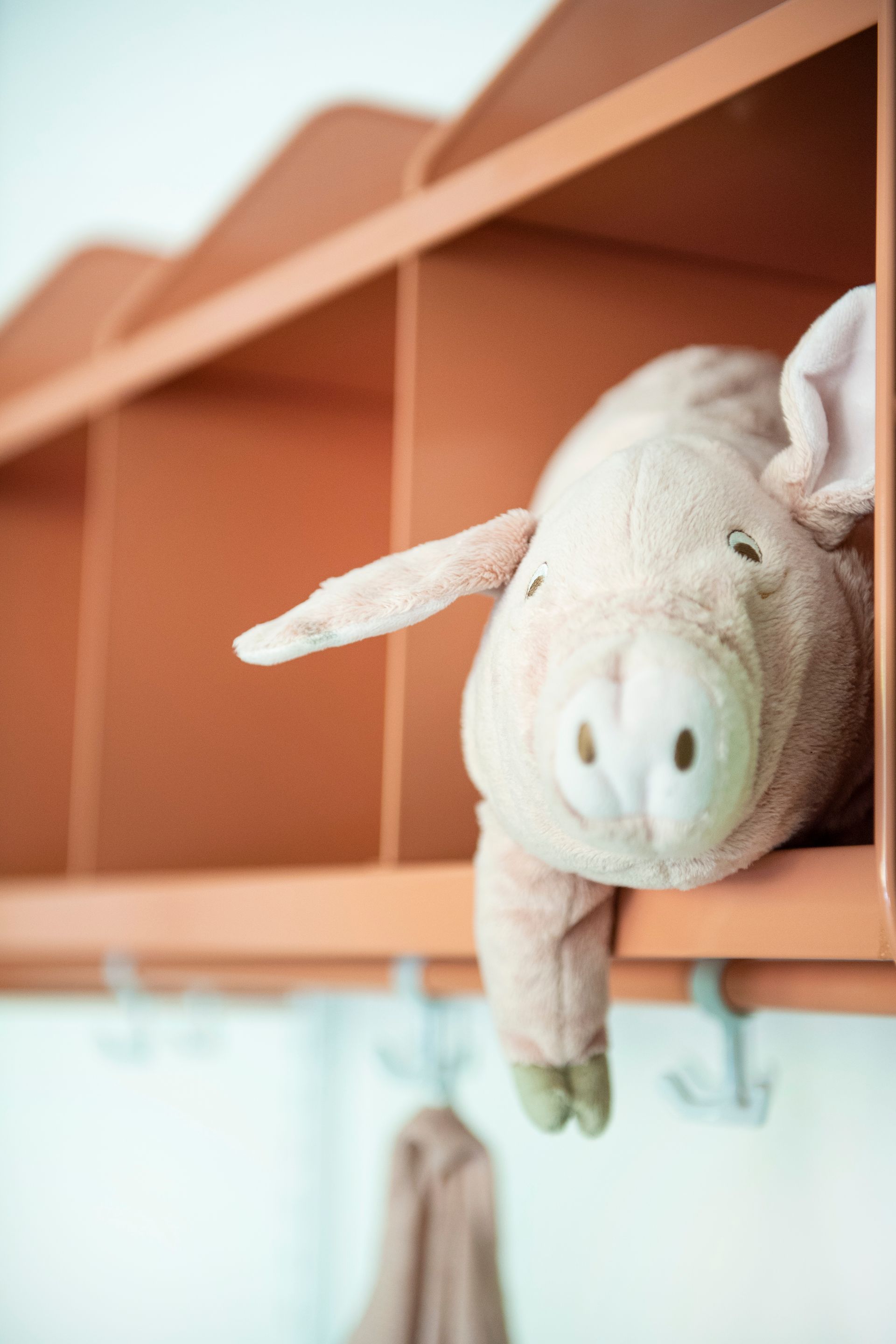 Plysjgris titter ut fra en korallfarget hylle.