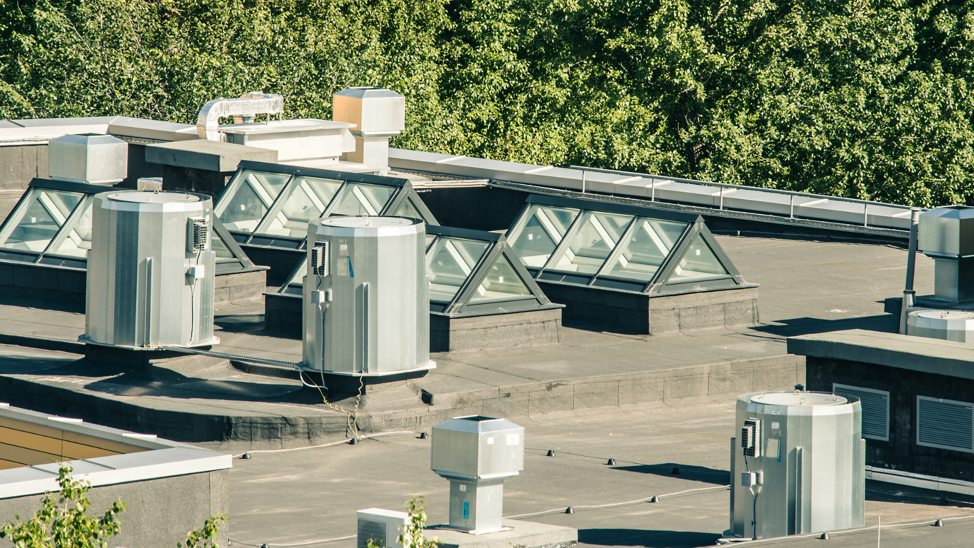 Rooftop with skylights, ventilation units, and a backdrop of green trees.