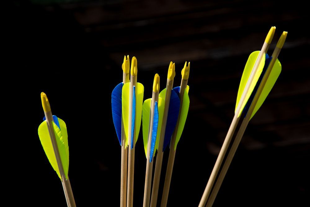 A Bunch of Wooden Arrows With Yellow and Blue Feathers — Mackay Shooters Supplies in Longreach, QLD