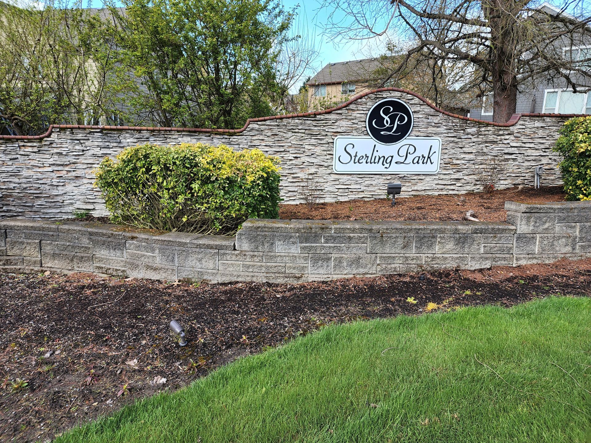 High-pressure hot water cleaning a concrete driveway, removing dirt and grime in Tigard Oregon