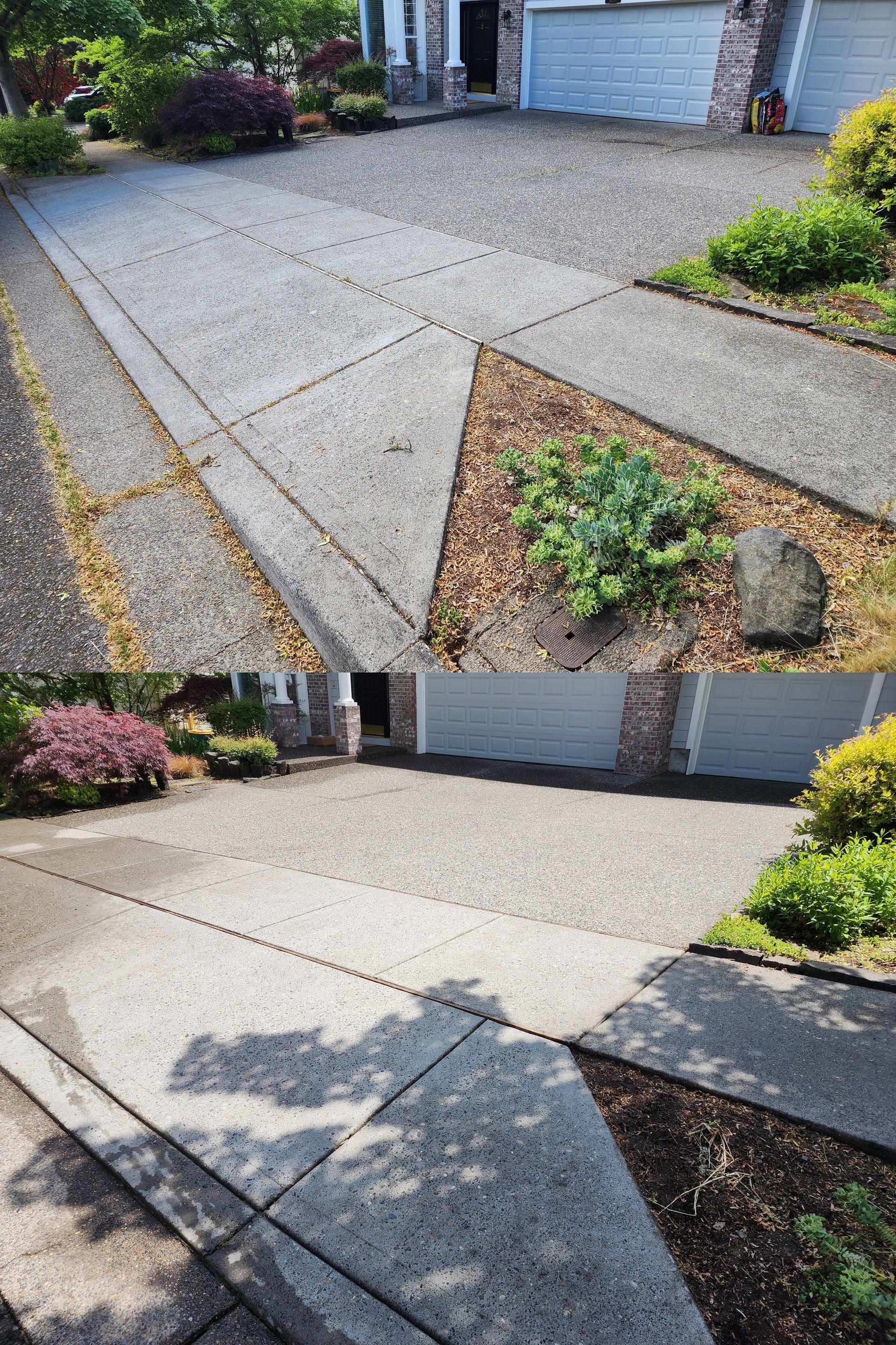 High-pressure hot water cleaning a concrete driveway, removing dirt and grime in Tigard Oregon