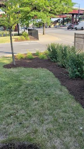 A lush green lawn next to a street with a bridge in the background.