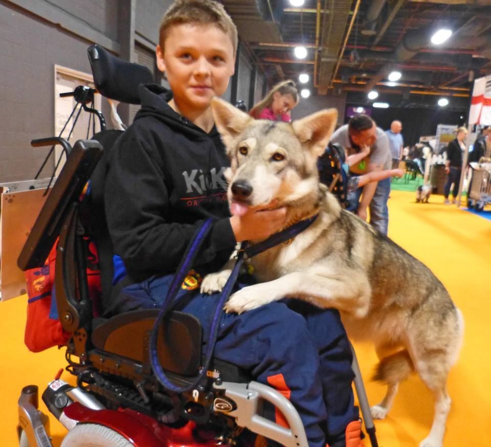 Project Wolfheart Wolf & Wolfdog Sanctuary
