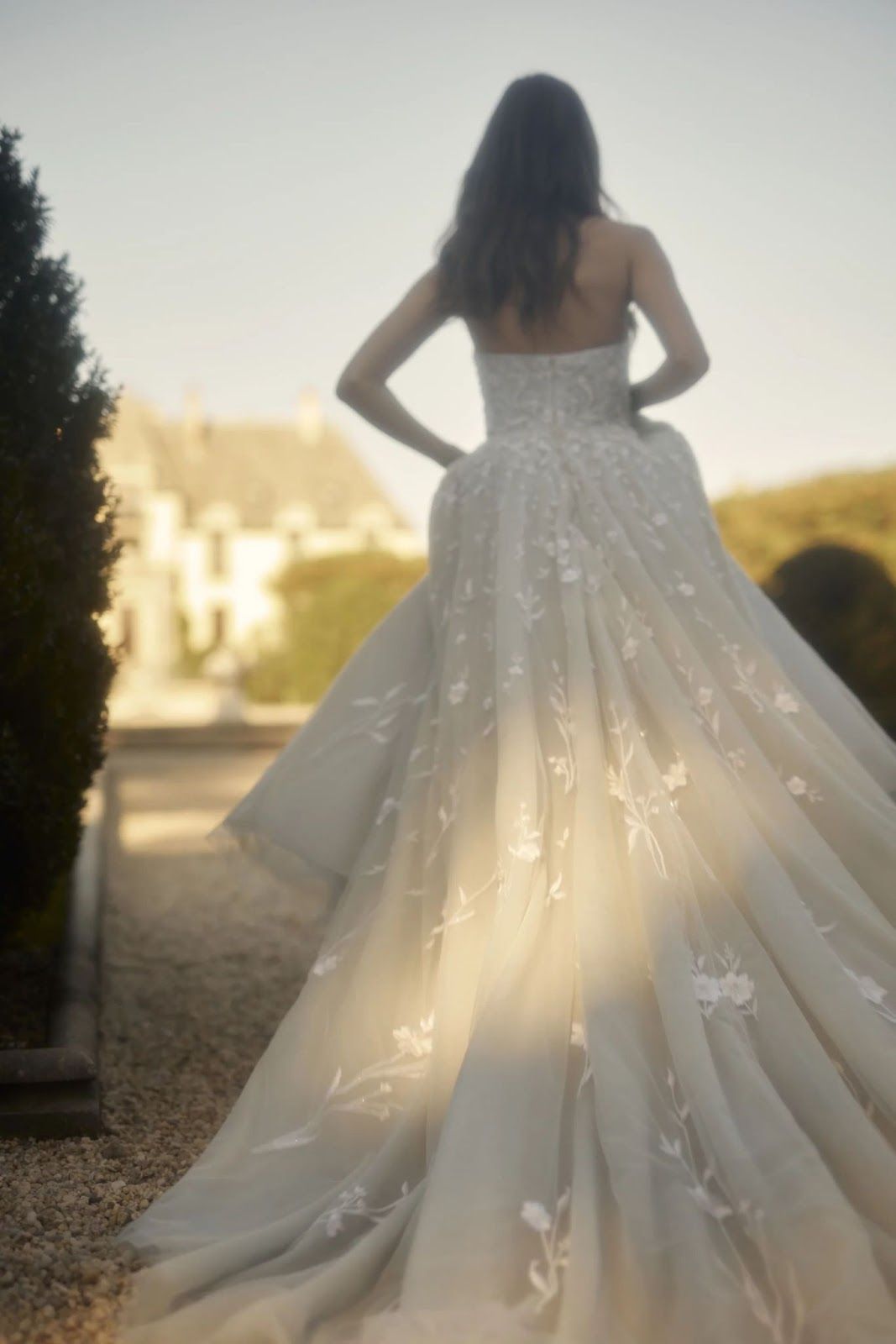 The back of a woman in a wedding dress is shown.