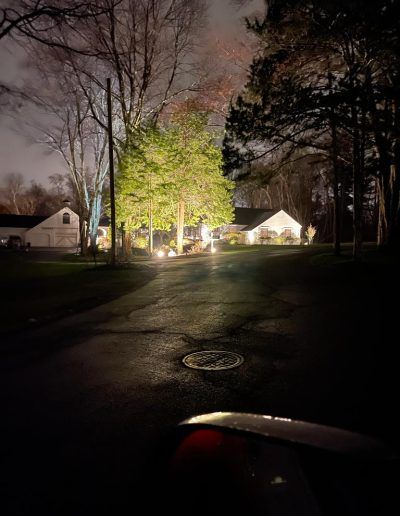 Night view of a residential street with illuminated houses and a tree, seen from a car's perspective.