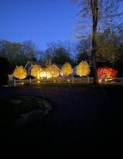 A house at dusk with illuminated trees, a white fence, and a dark driveway.
