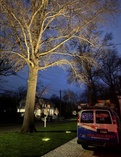 A nighttime scene with a tree lit from below and a service van parked on the street.