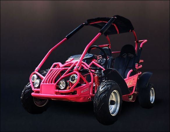 Trailmaster Mid Xrx/r Go Cart | Mt. Juliet, TN | A-1 Fun Cycles