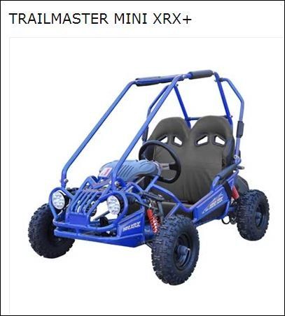 Trailmaster Mini Xrx Go-kart | Mt. Juliet, TN | A-1 Fun Cycles