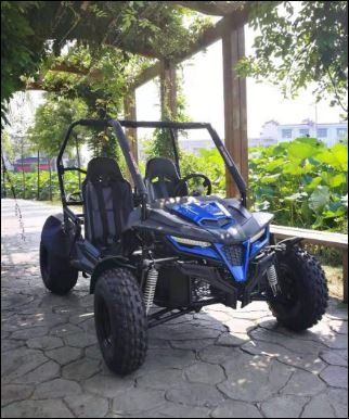 Trailmaster Cheetah 150 UTV | Mt. Juliet, TN | A-1 Fun Cycles