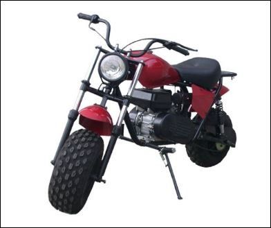 Trailmaster Automatic Mb200 Mini-bike | Mt. Juliet, TN | A-1 Fun Cycles