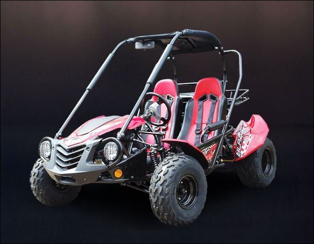 Trailmaster Blazer | Mt. Juliet, TN | A-1 Fun Cycles