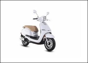 Trailmaster Turino 150 Scooter | Mt. Juliet, TN | A-1 Fun Cycles