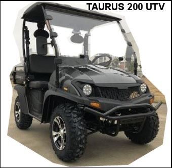 Taurus 200 UTV | Mt. Juliet, TN | A-1 Fun Cycles